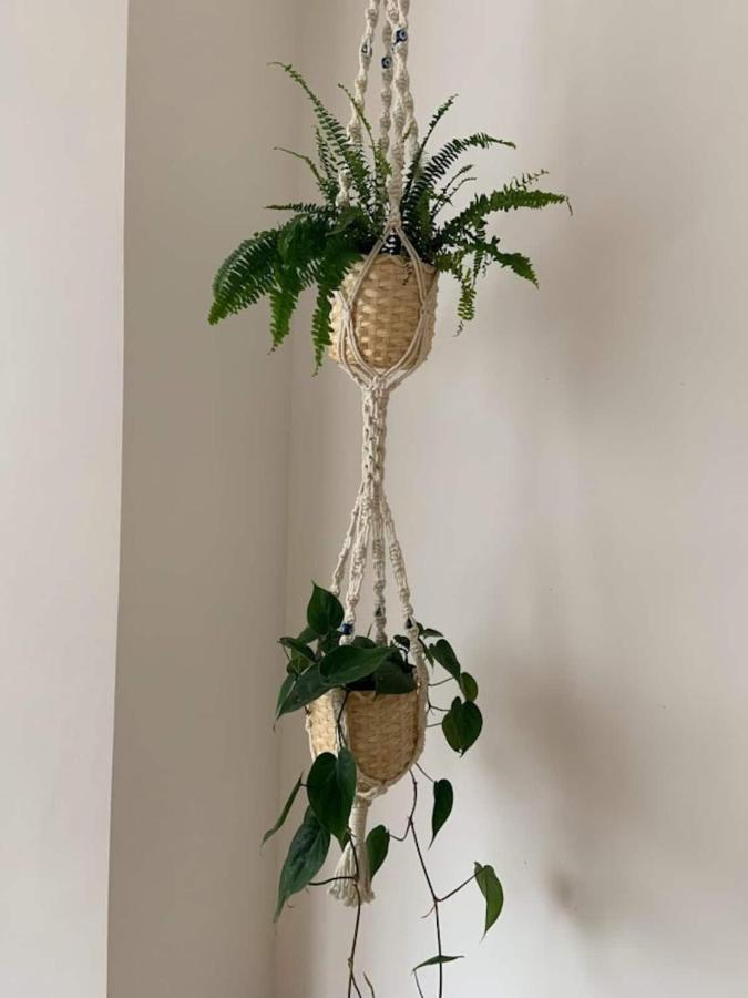 Lovely Spacious 1-Bedroom Flat In Tufnell Park Close To Central 런던 외부 사진
