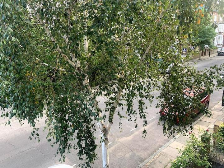 Lovely Spacious 1-Bedroom Flat In Tufnell Park Close To Central 런던 외부 사진
